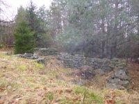 6  Saverne LE WASSERWALD 05 03 2017 38